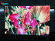 High Resolution P1.667  HD LED Display Conference Center Led Screen Panel supplier